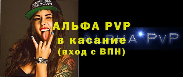 шишки Саяногорск