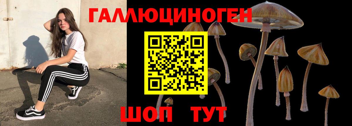 Новокубанск  Галлюциногенные грибы MAGIC MUSHROOMS  Вход с VPN  Галлюциногенные грибы Magic Shrooms 